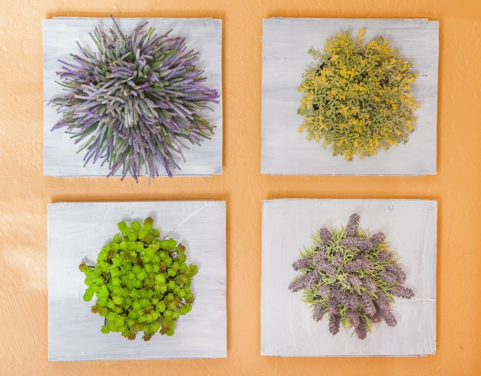 Фото Mountain View Lodge