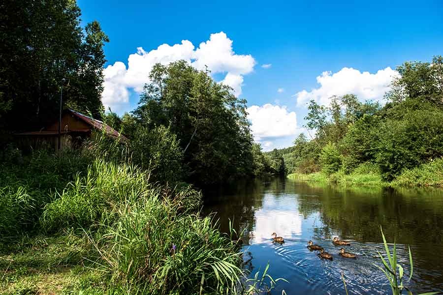Фото Сосновый Бор