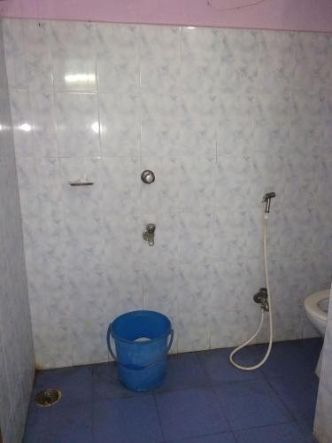 Фото Hotel Krishna