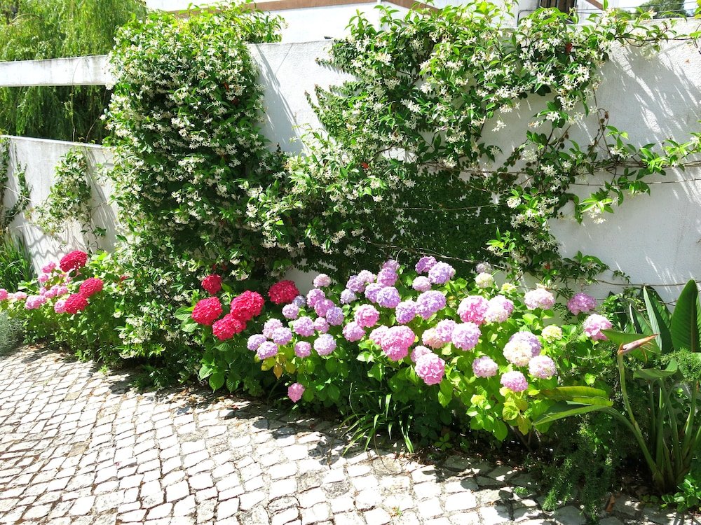 Фото Casa do Outeiro Hotel