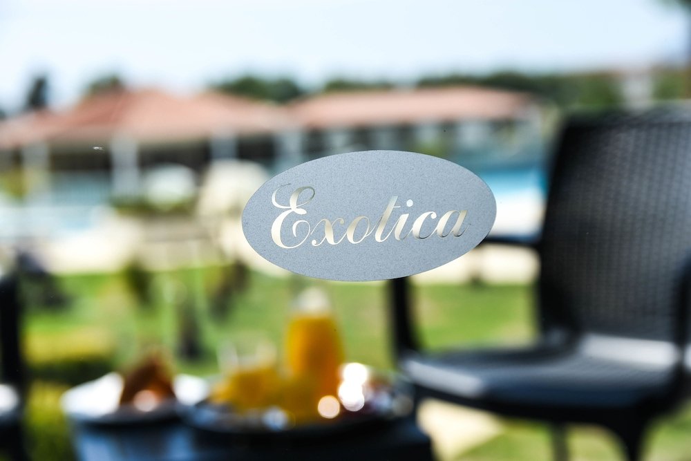 Фото EXOTICA