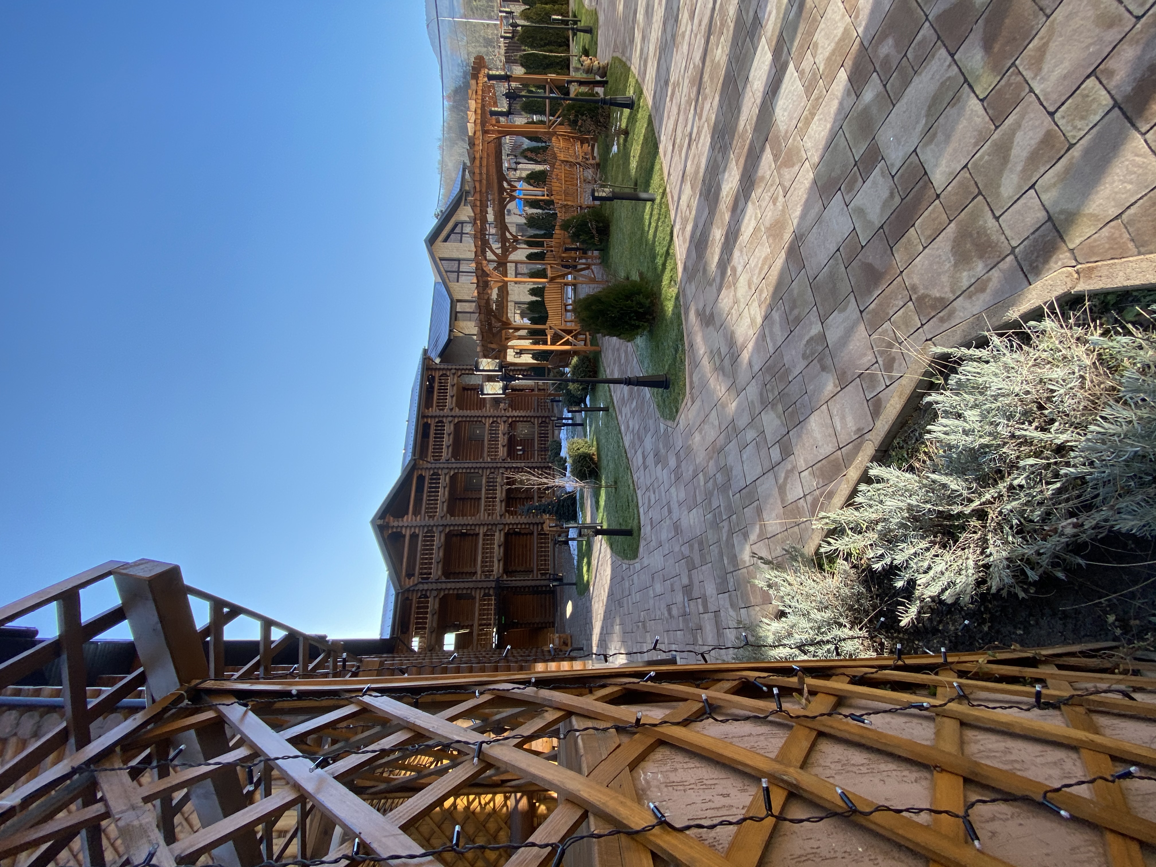 Фото Династия