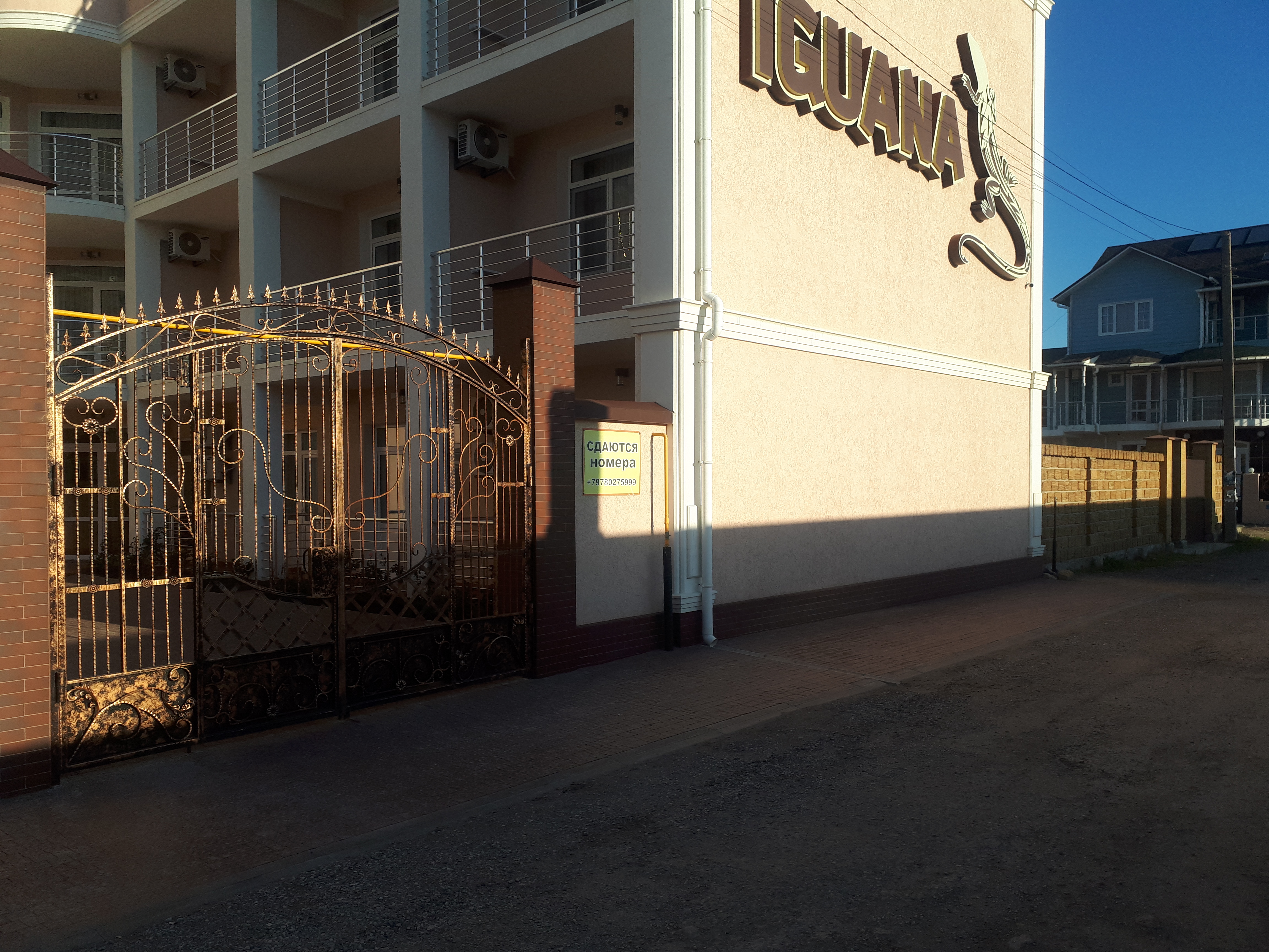 Фото Игуана