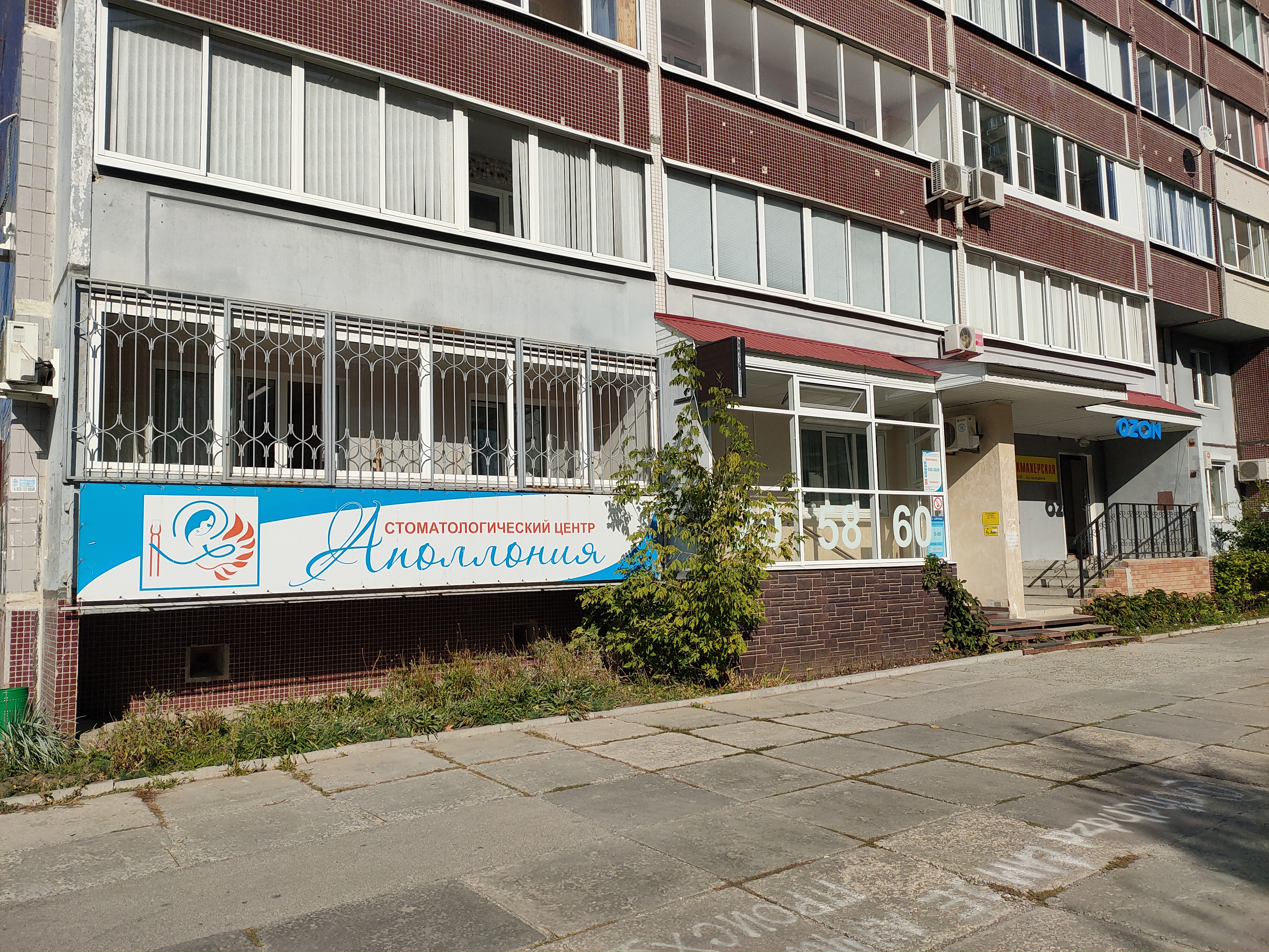 Аполлония ул мира 65 1 фото