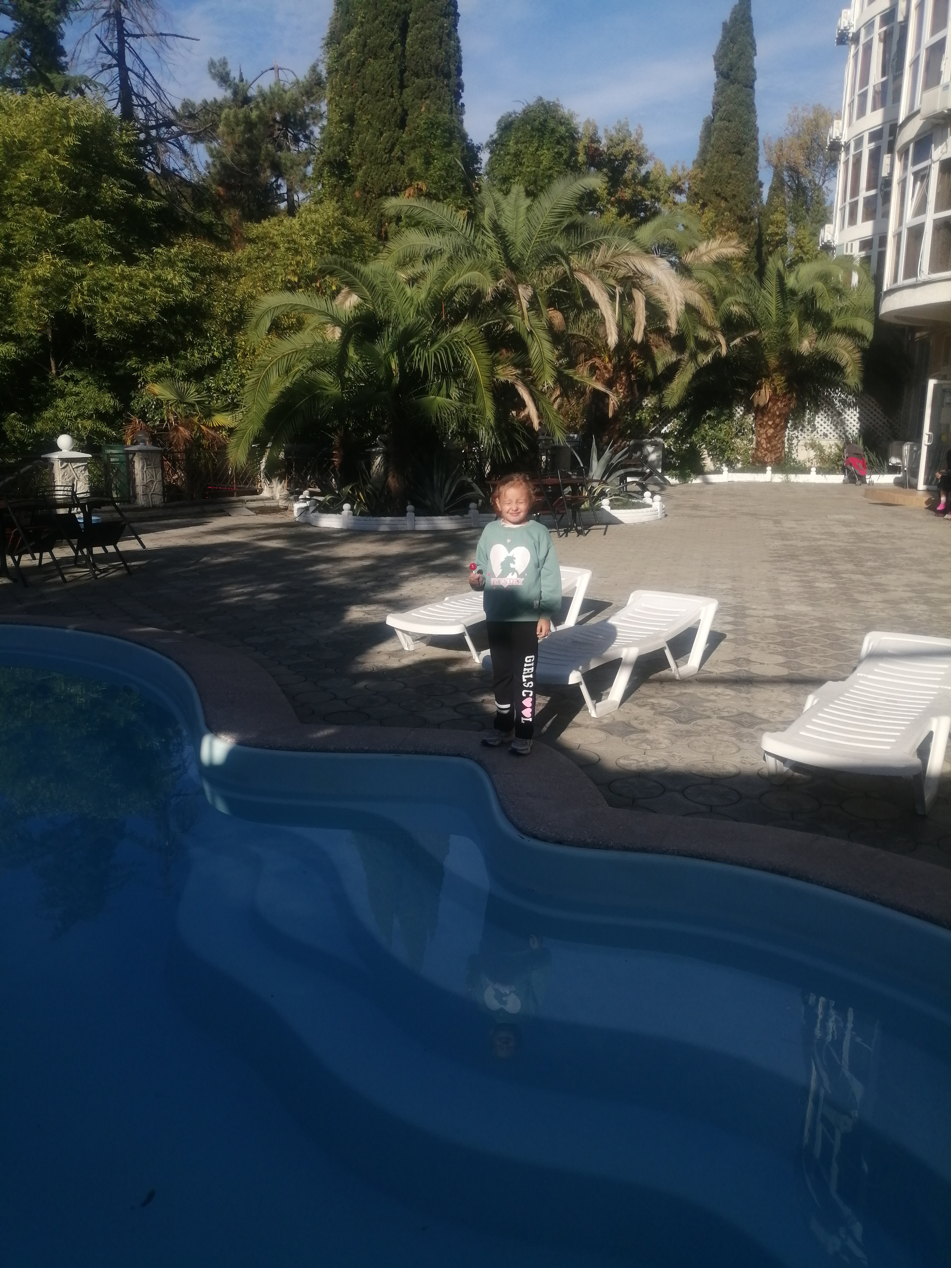 Фото Золотая пальма