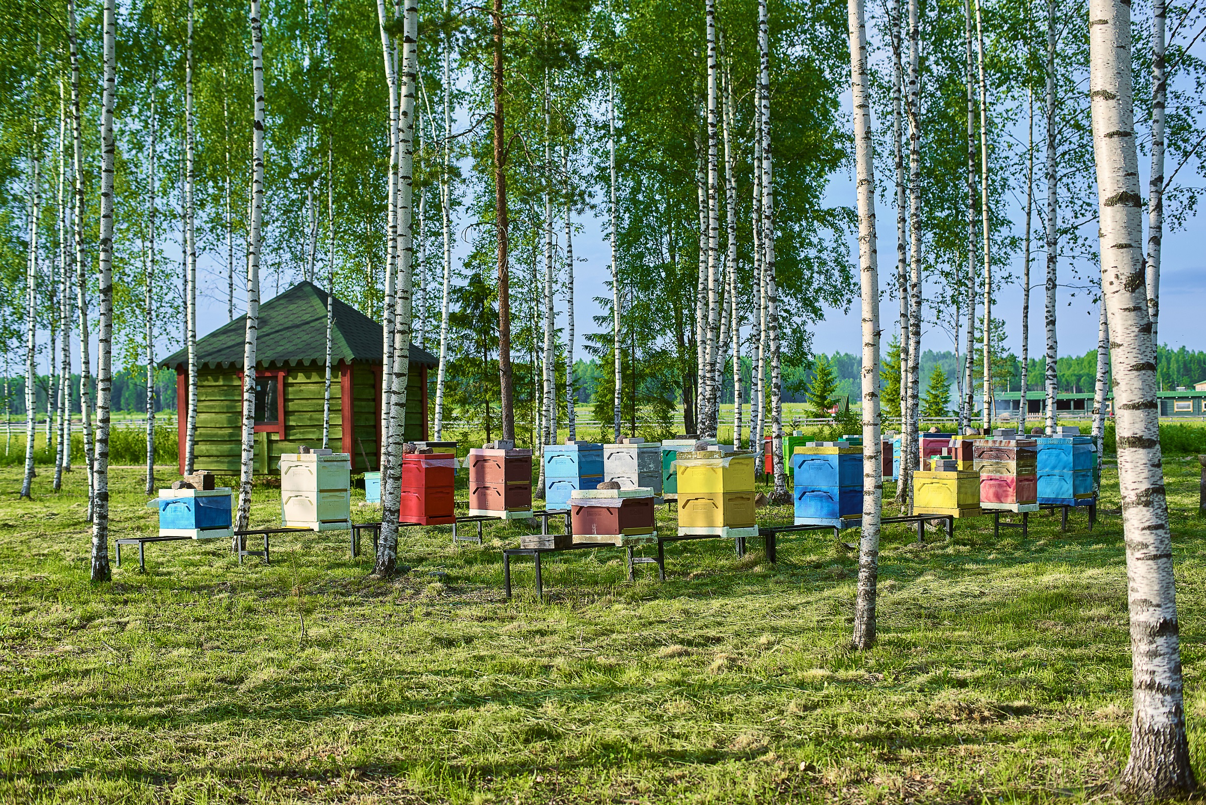 Фото Мазаная Горка