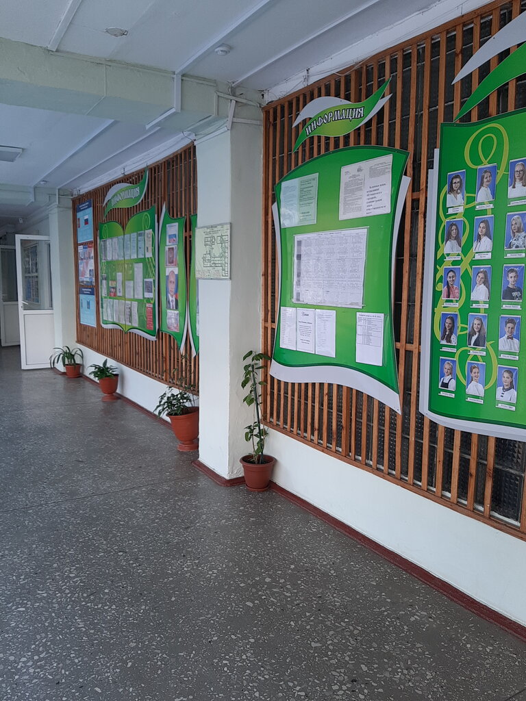 Lyceum Yestestvenno-matematichesky litsey № 20, Pskov, photo