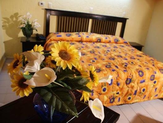 Фото Hotel Hacienda de Castilla