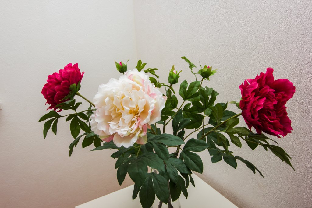 Фото Инь-Ян