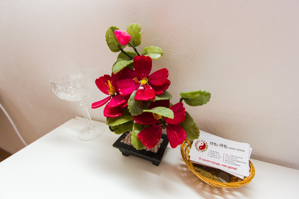 Фото Инь-Ян