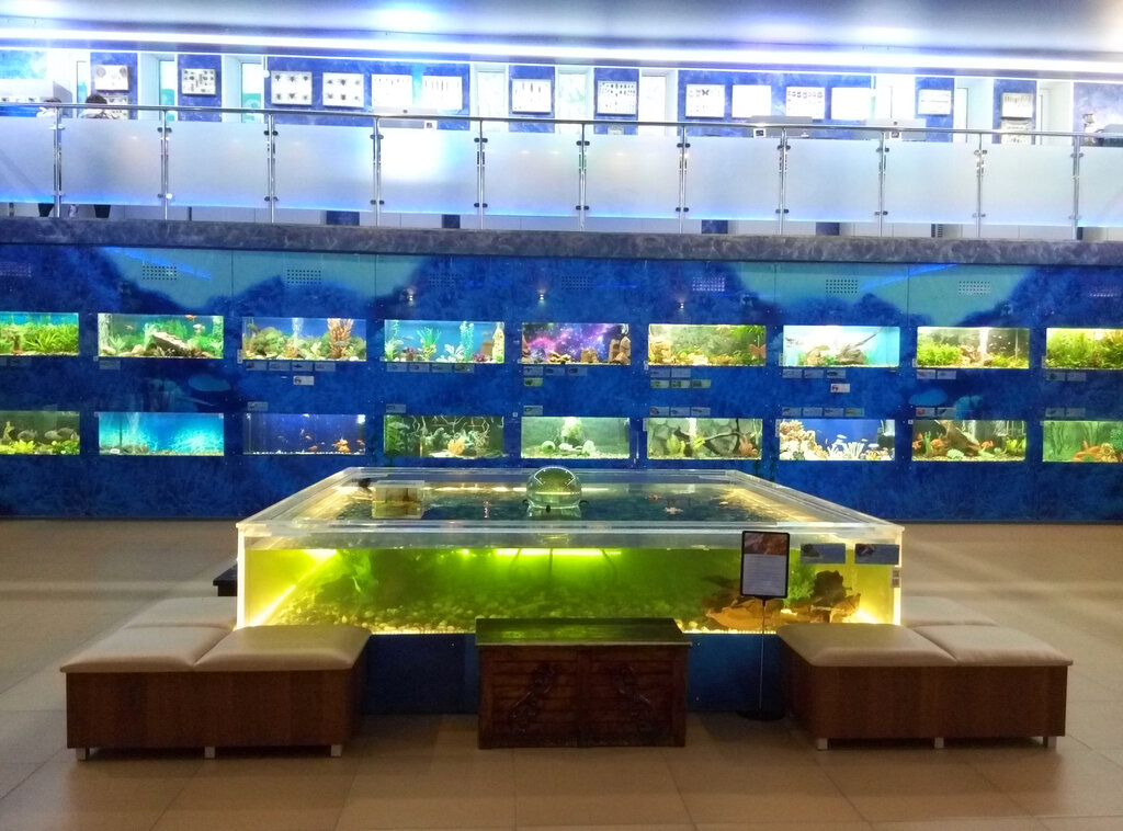 Exhibition center Akvarium, Chelyabinsk, photo