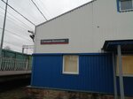 Zheleznodorozhnaya stantsiya Volosovo (Leningrad Region, Volosovo), estación de tren