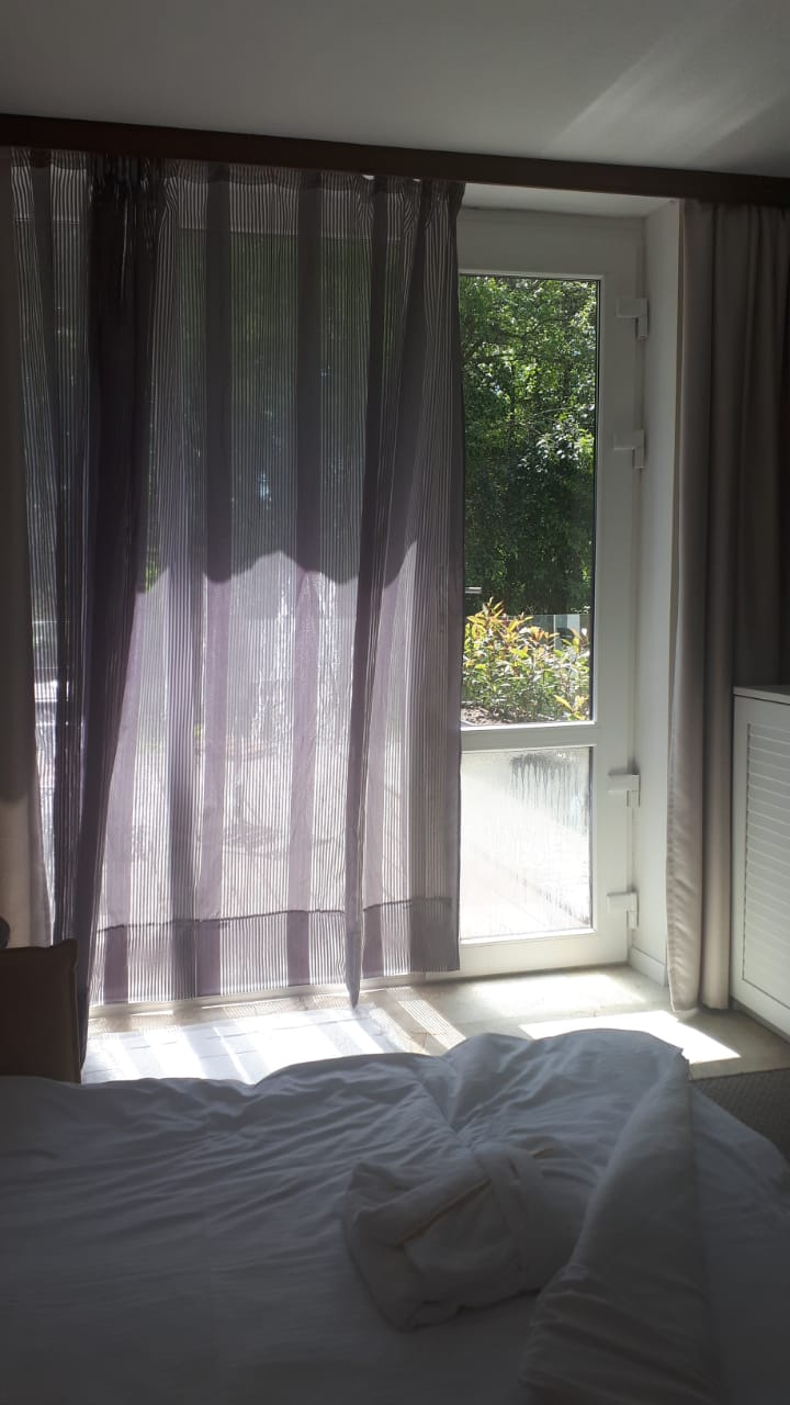 Фото Портобелло