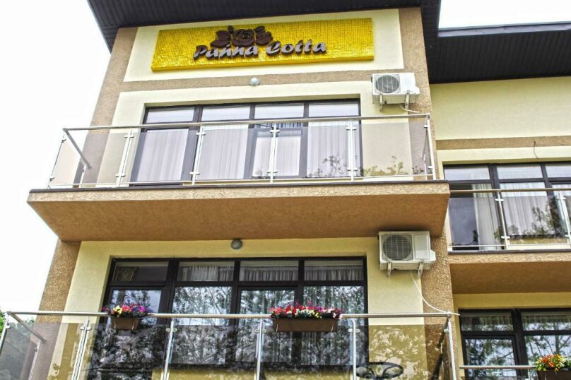 Фото Amigo Panna-Cotta