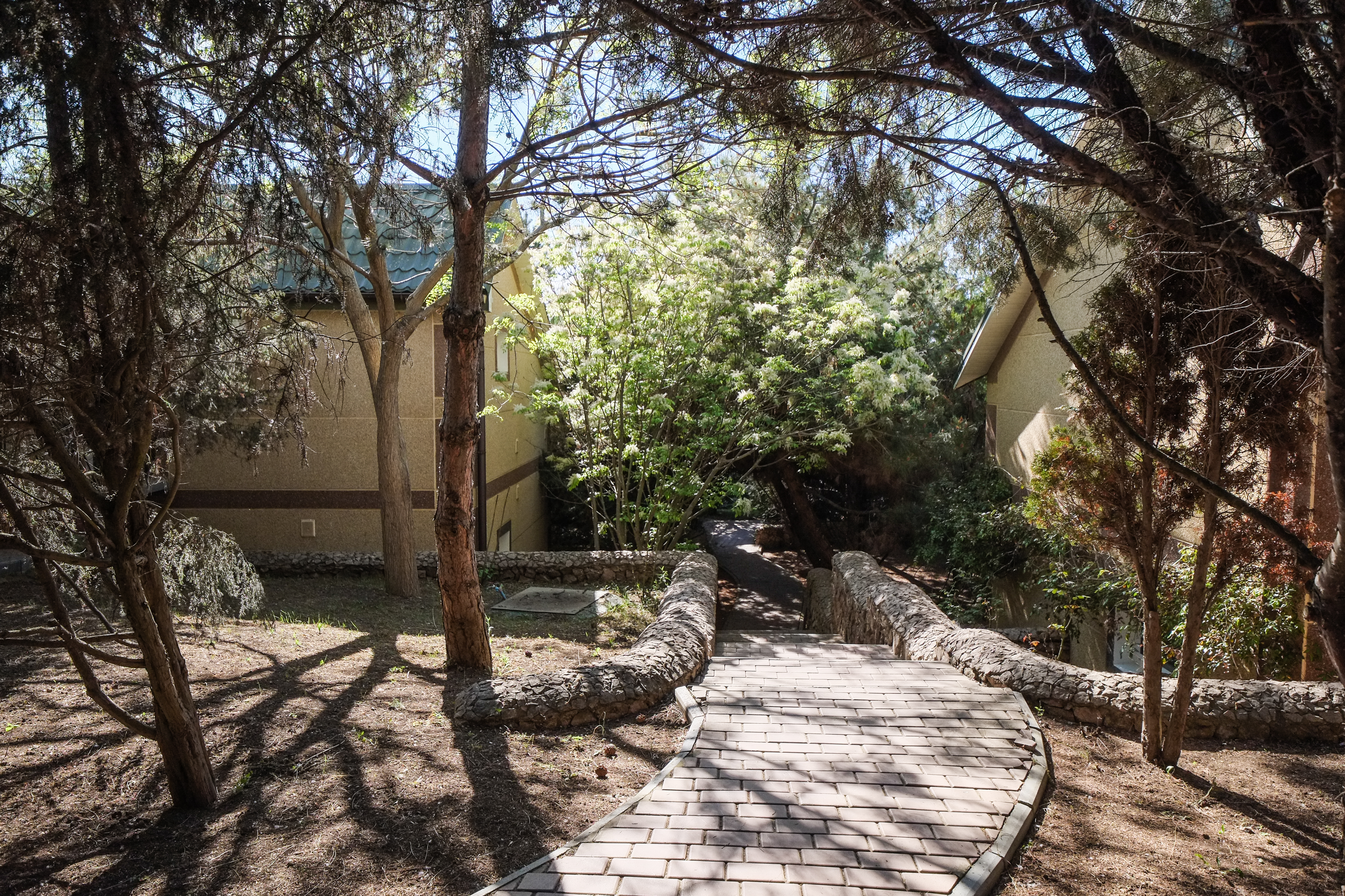 Фото Качинская