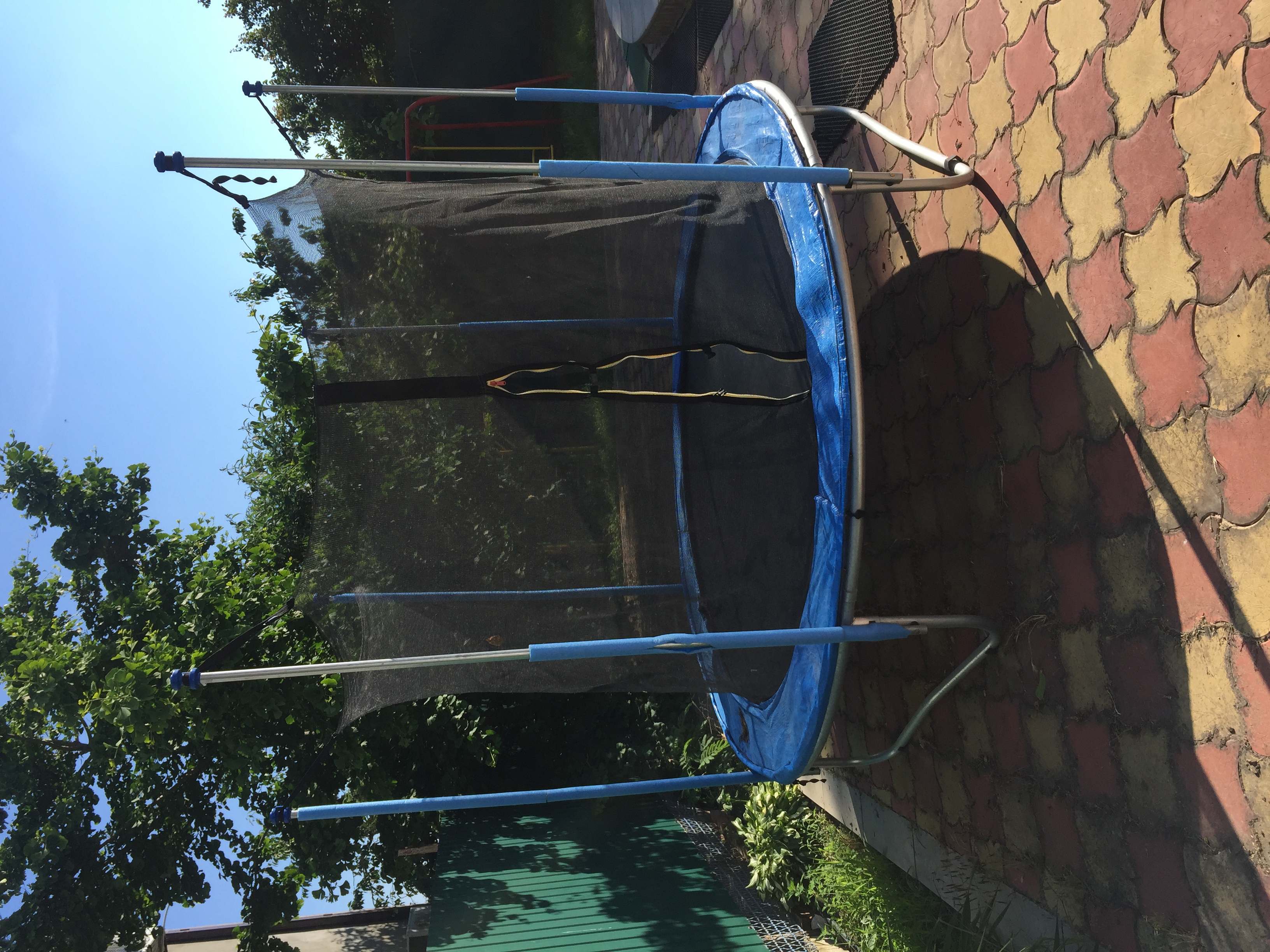 Фото Виктори