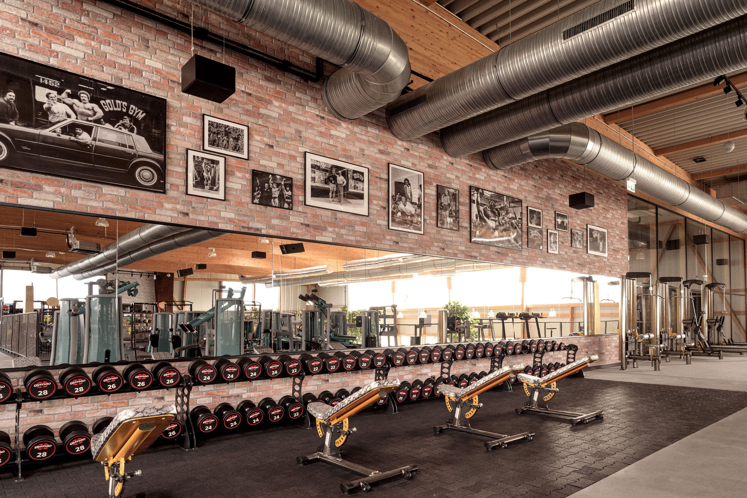 Gold's Gym Fitnessstudio, fitness club, Berlin, Paulsternstraße, 22 —  Yandex Maps