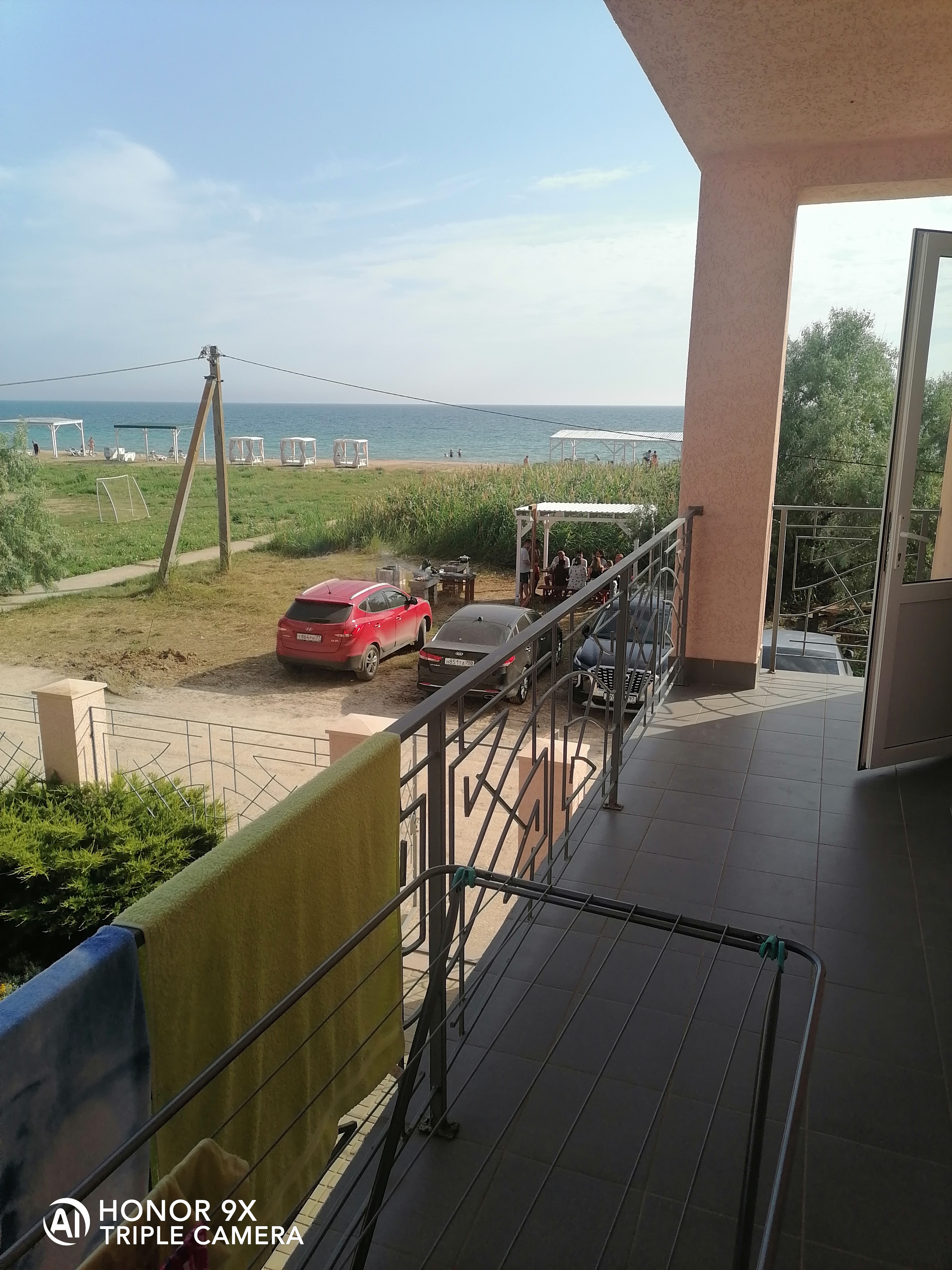 Фото Шафран