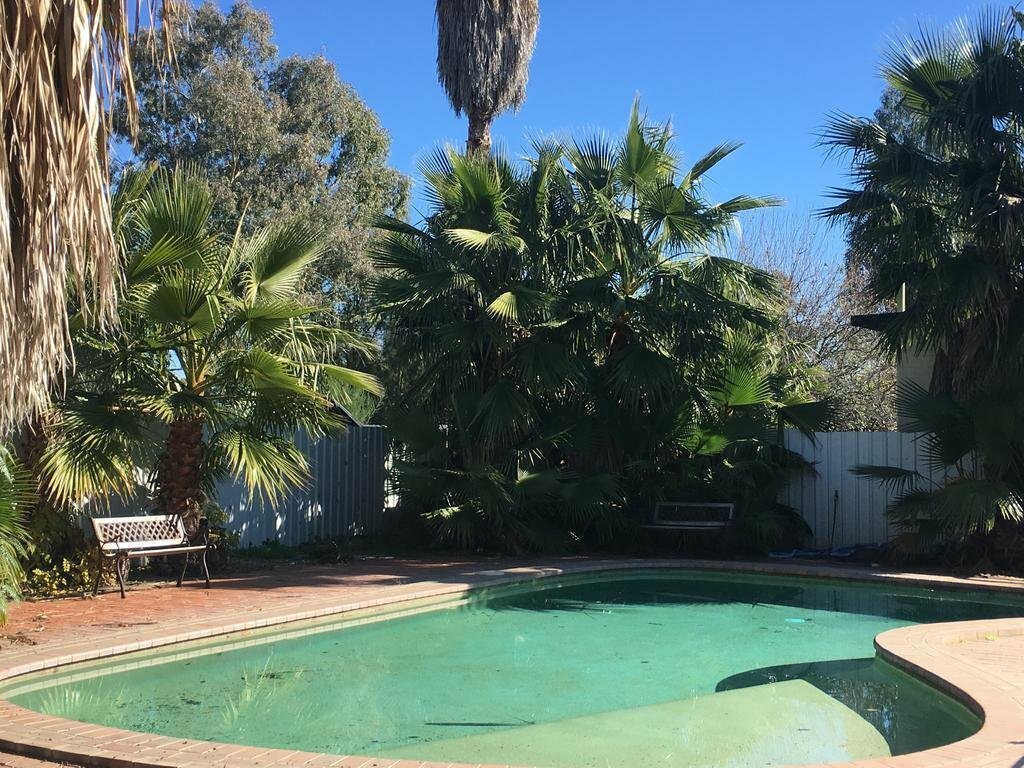 Hotel Palm and Pawn Motor Inn, Wagga Wagga, photo