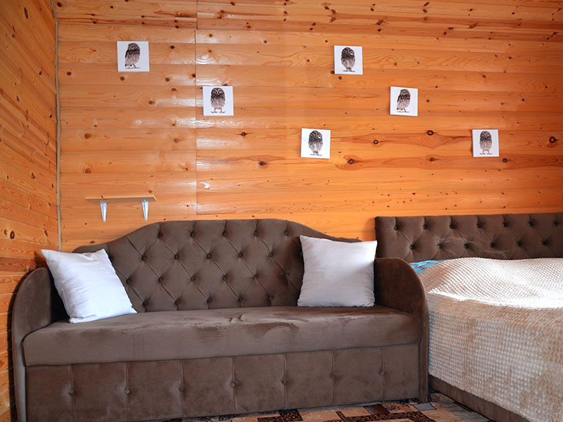 Фото Дом Совы