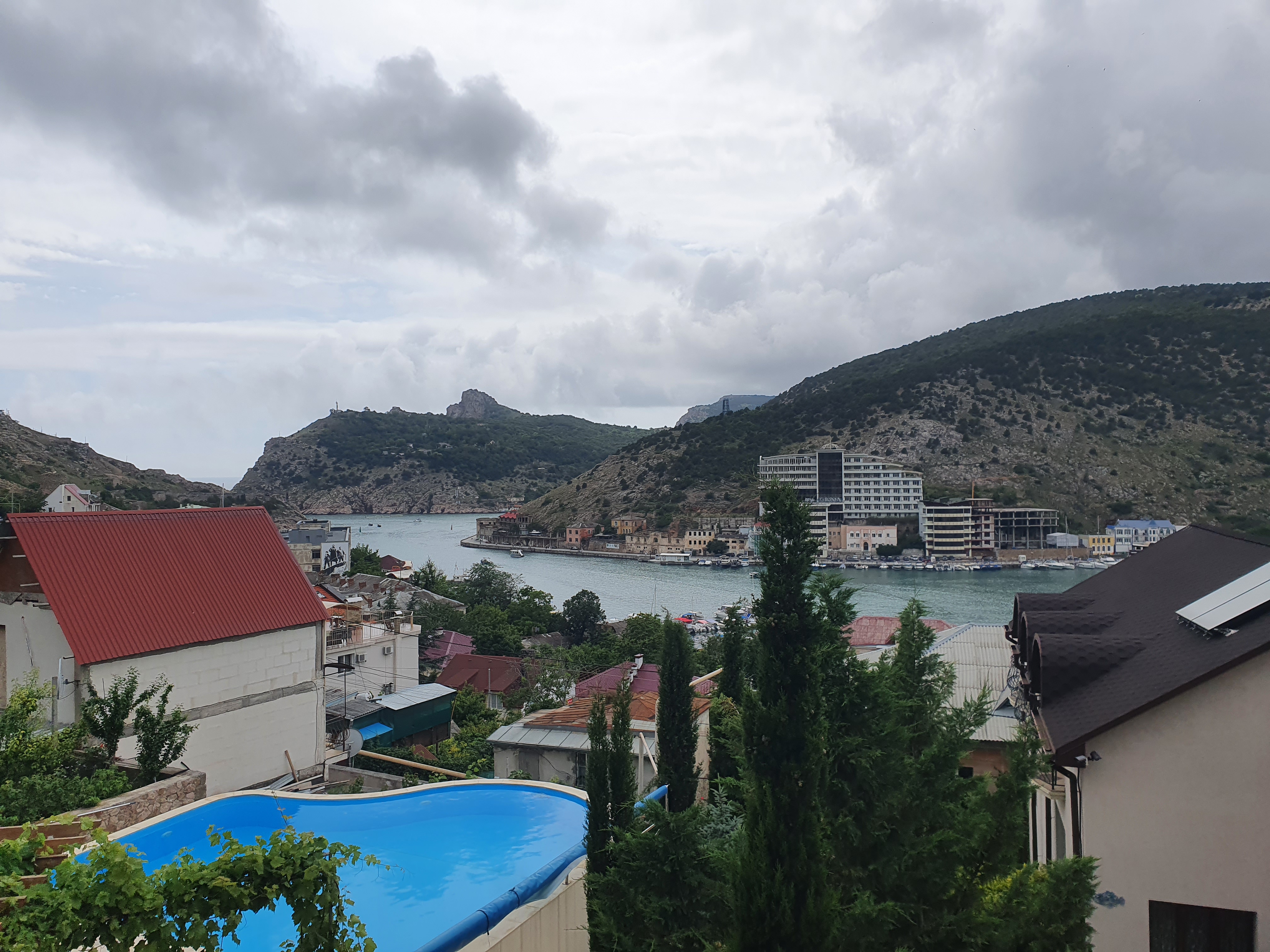 Фото Кипарис