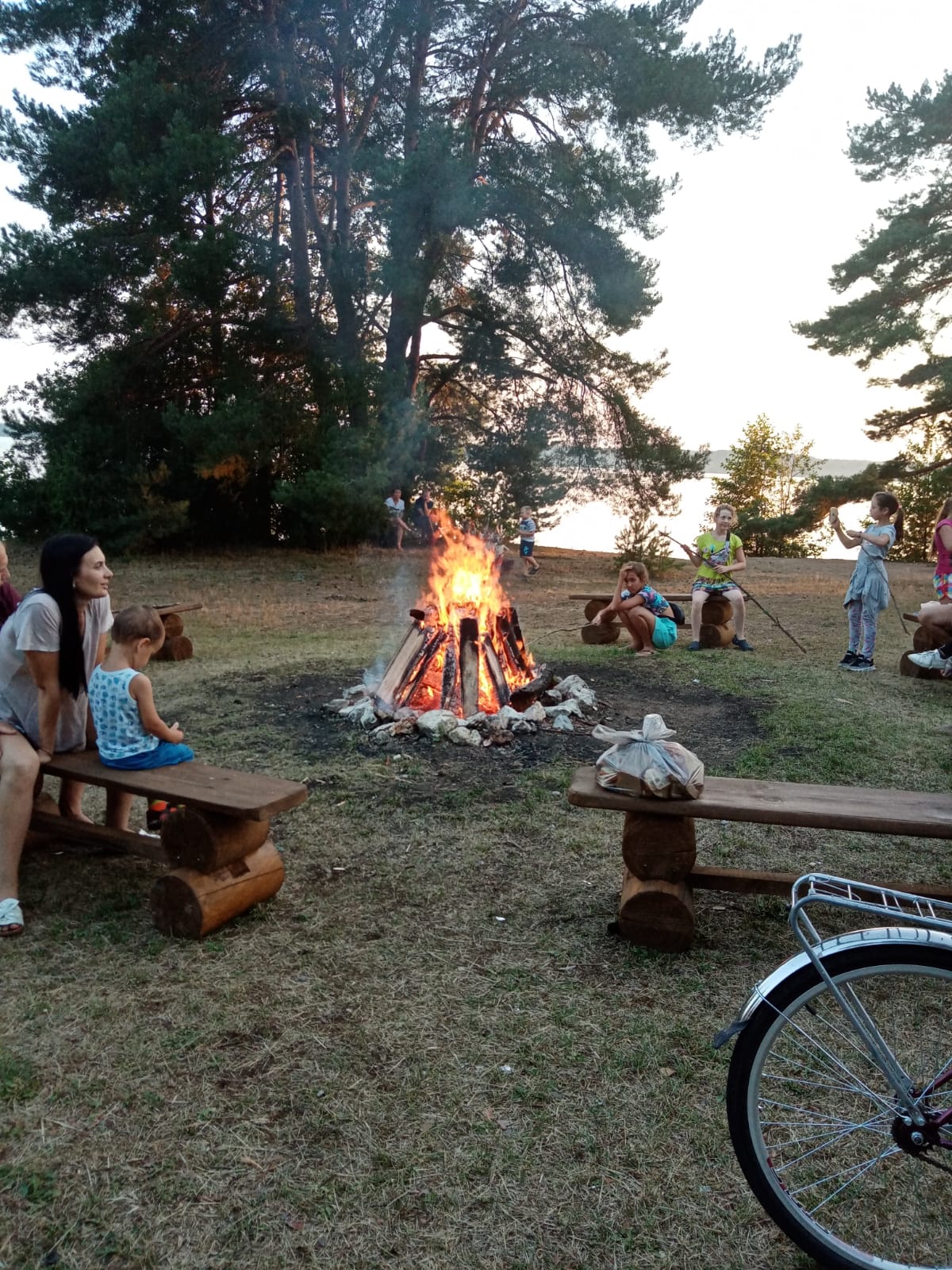 Фото Орлинка