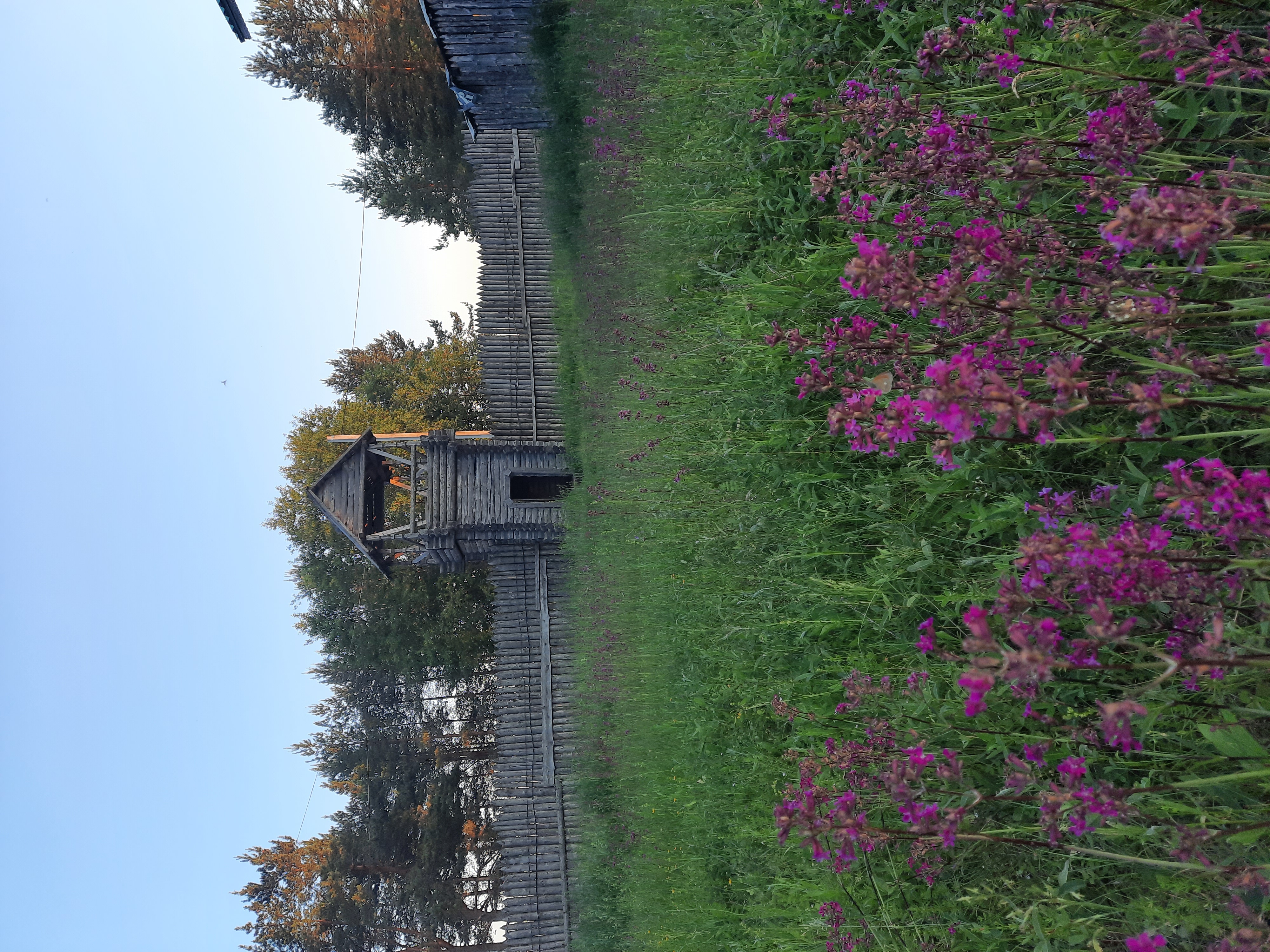 Фото Киногородок