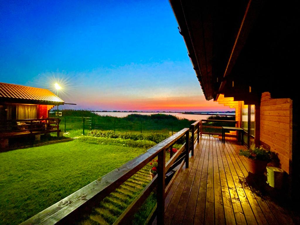 Фото Кактус