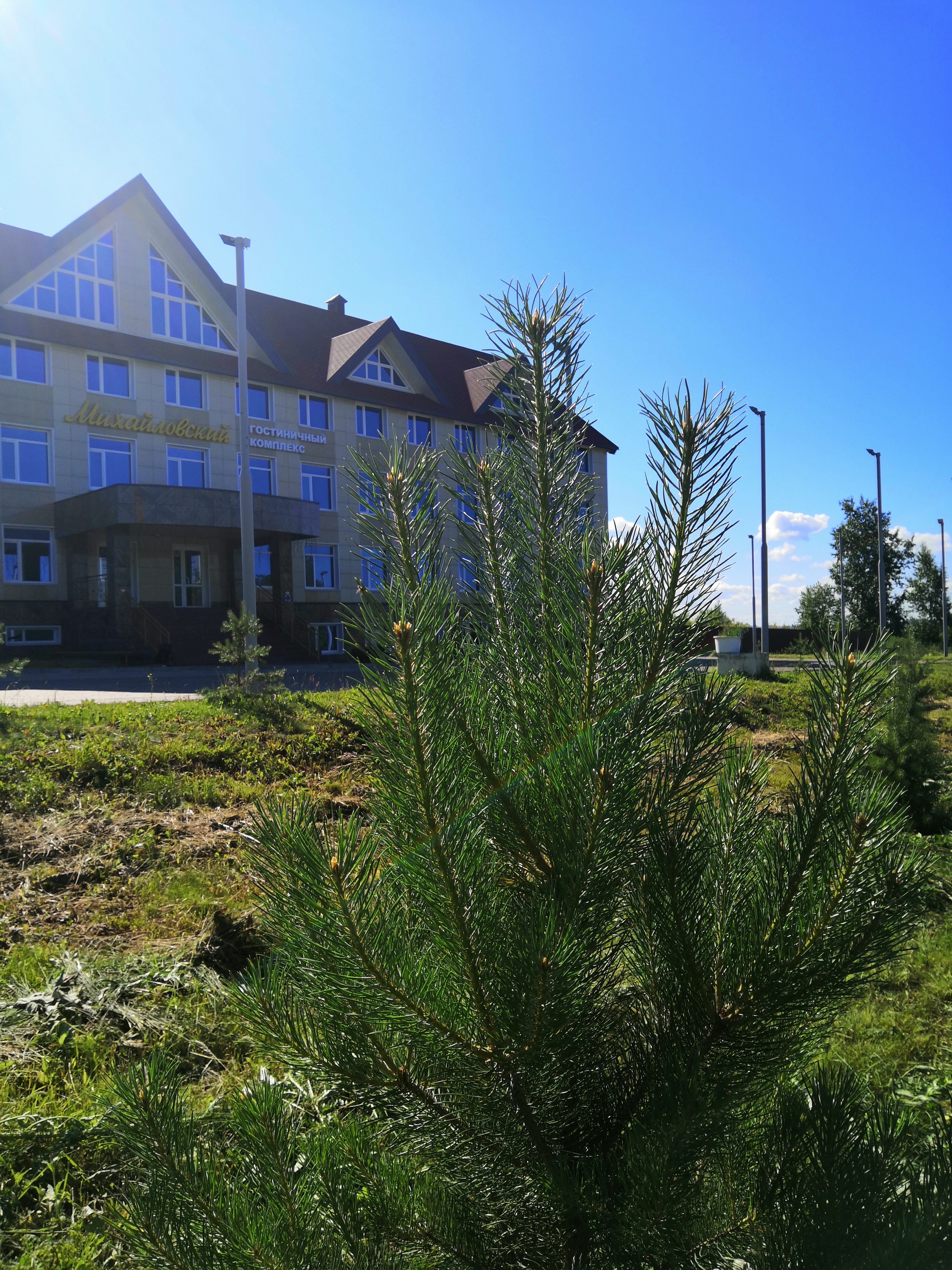 Фото Михайловский