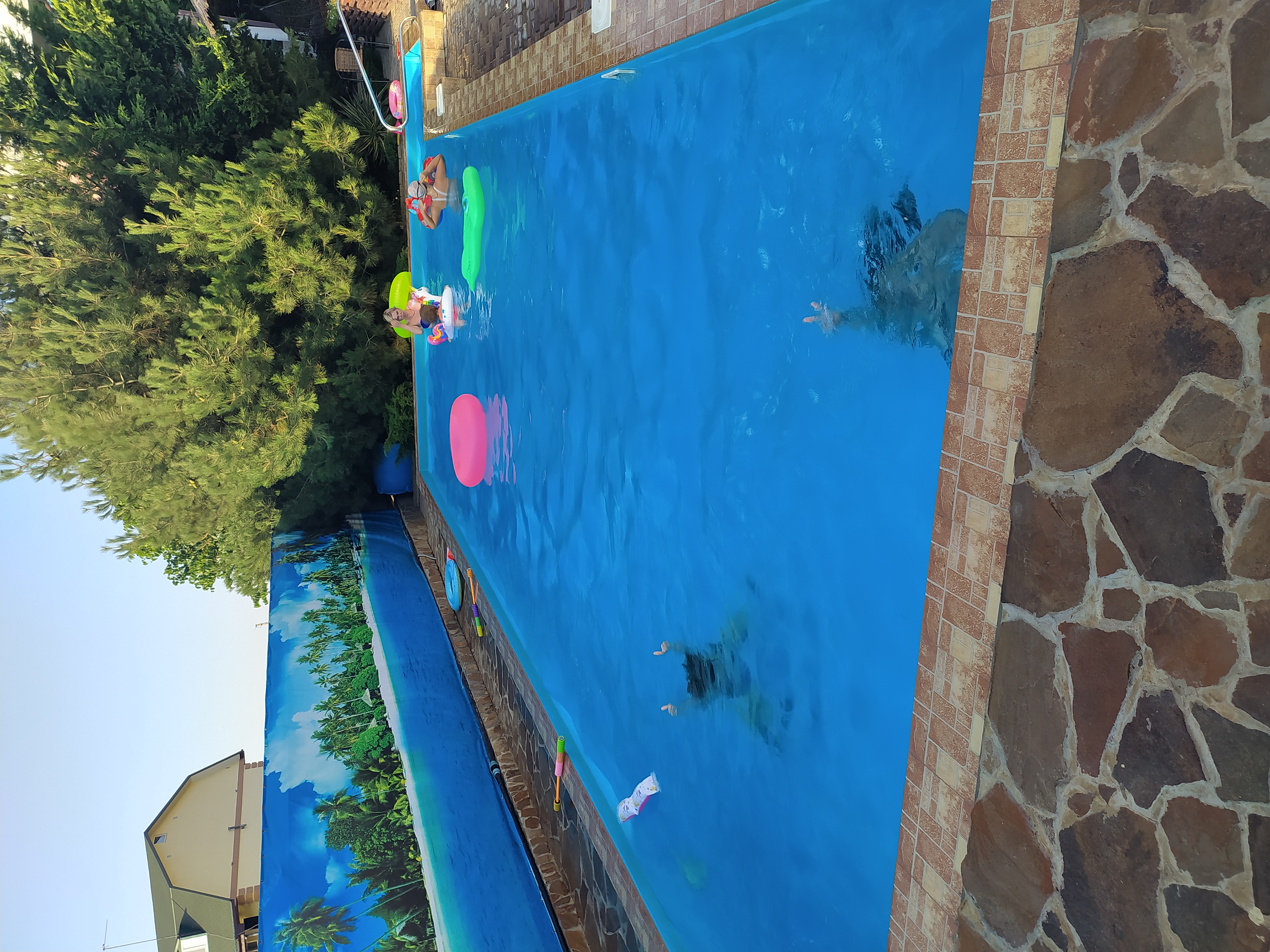 Фото Муравейник