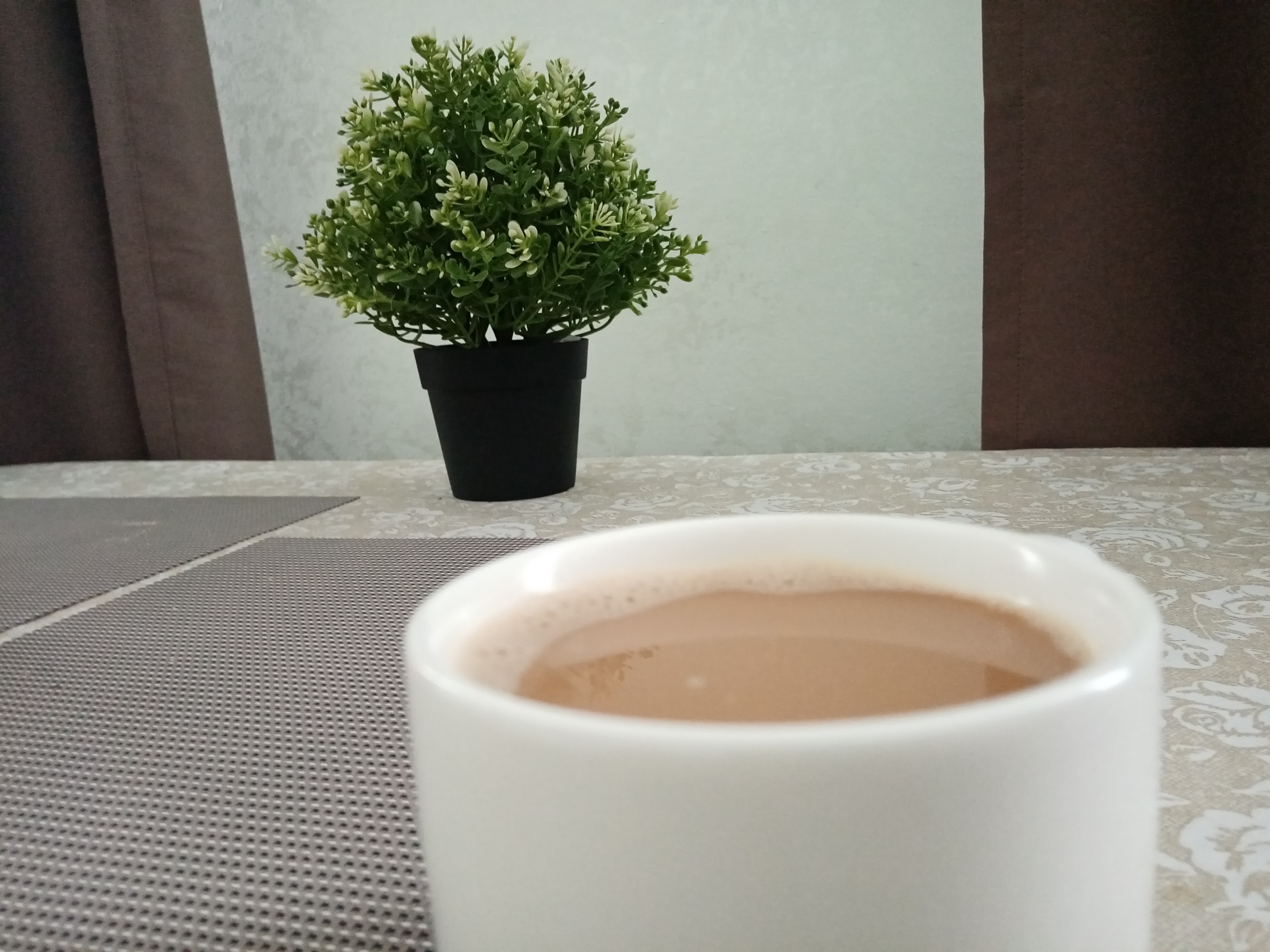 Фото Альфа-guest