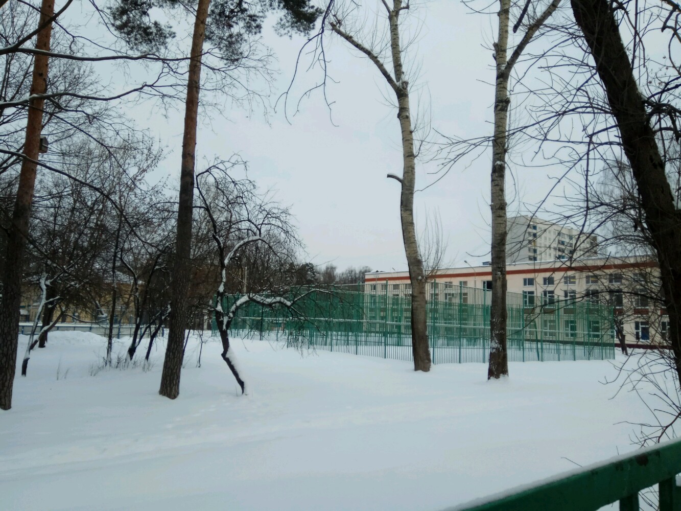 Гимназия no 1 ленская ул 4 фото Фото: Школа № 281, здание на Ленской, 6, общеобразовательная школа, Ленская ул.,