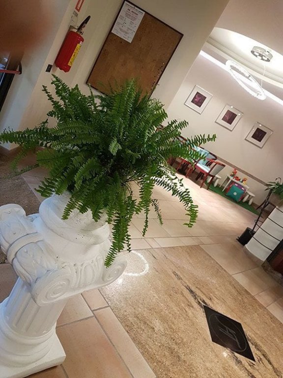 Фото Hotel Tiglio