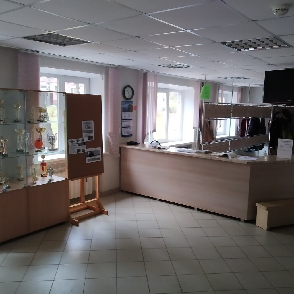 School of the arts Zheleznogorskaya detskaya shkola iskusstv, Zheleznogorsk, photo