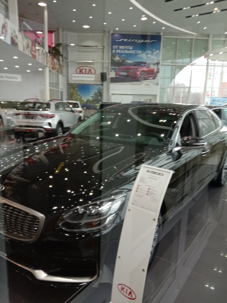 Автосалон kia во владимире