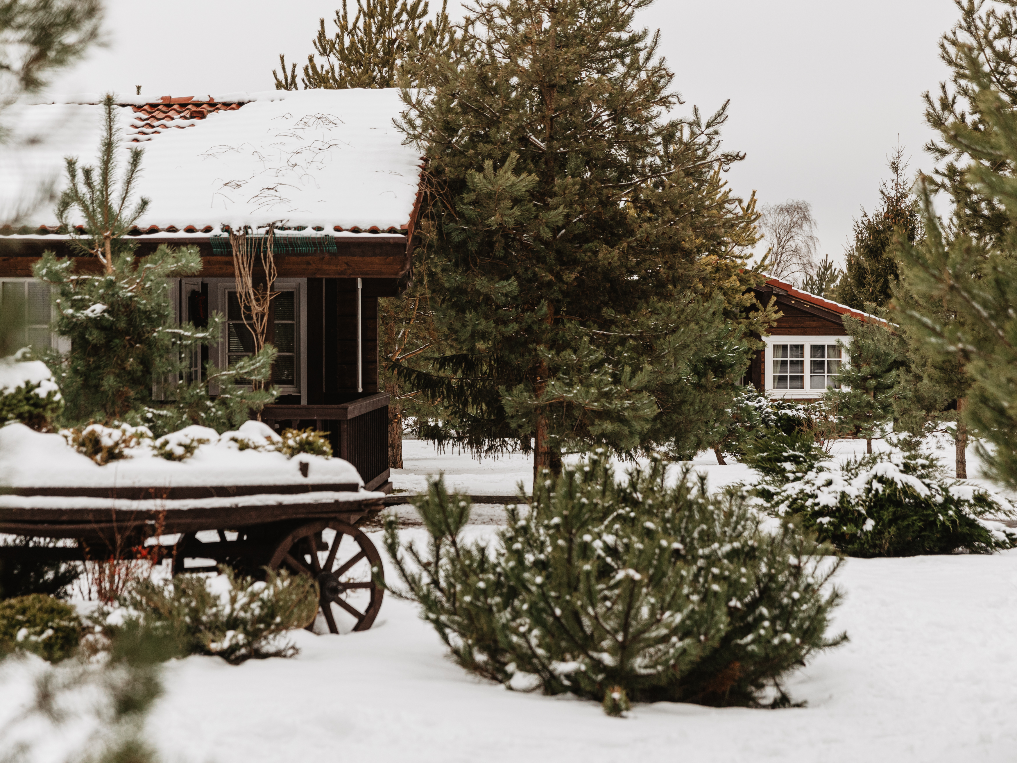 Фото Fish Point Family Resort