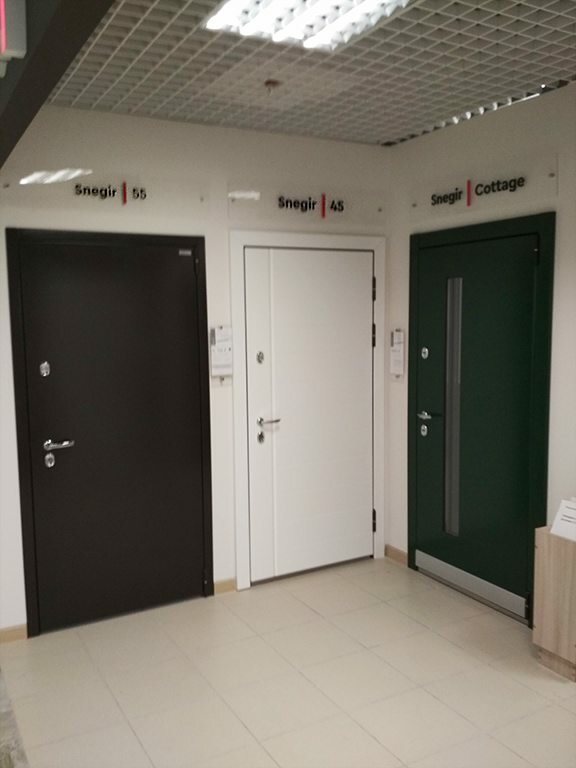Doors Torex, Moscow, photo