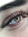 LASHmania (Maroseyka Street, 6-8с1), eyebrow and eyelash salon