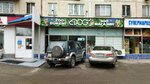 Dog (Kóktem-1 shaǵyn aýdany, 16), tienda de animales