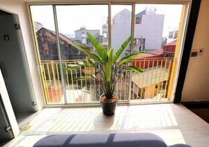 Гостиница Hanoi Banana Hostel