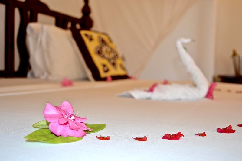 Фото Sahari Zanzibar