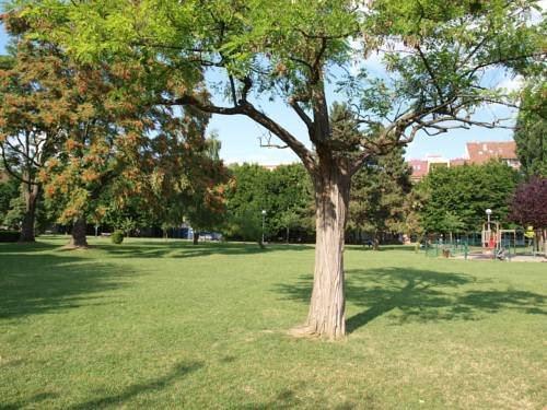 Фото Witty Please & Bardot