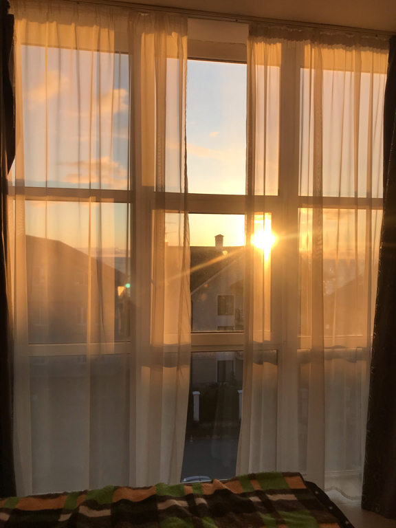 Фото Орхидея