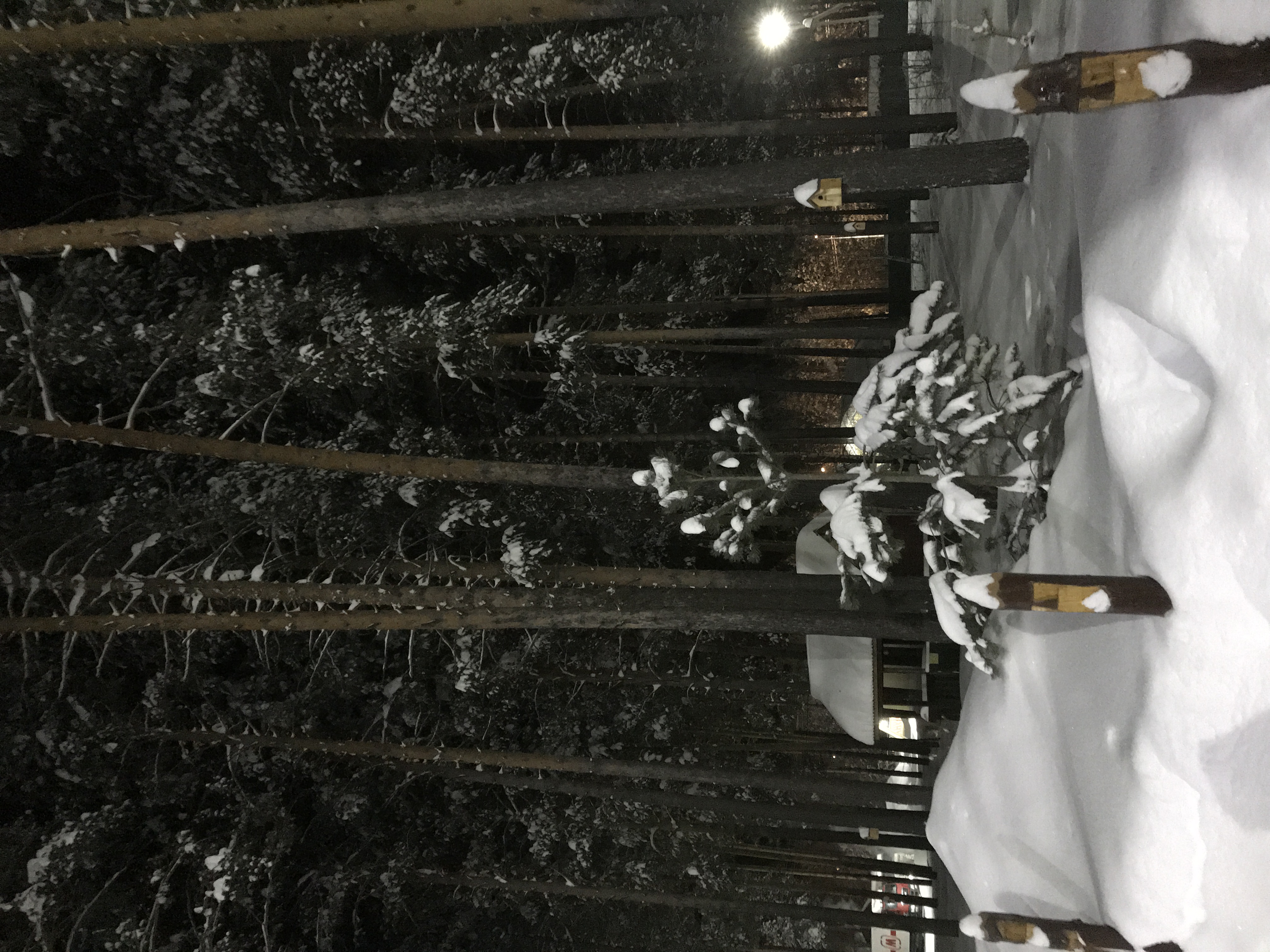 Фото Регион 86