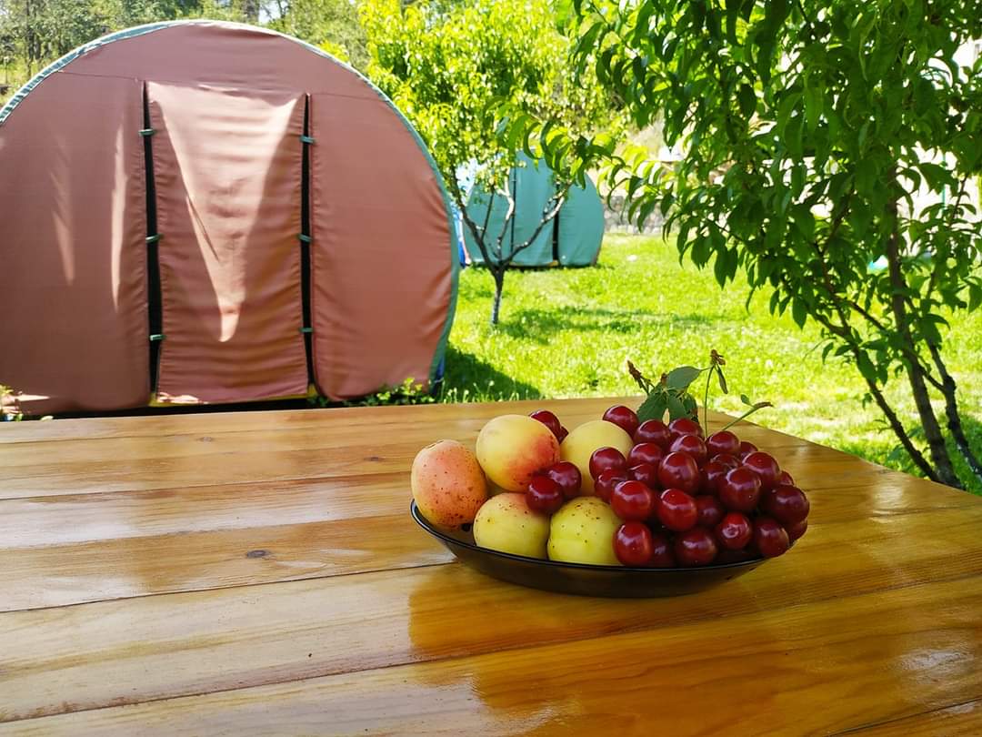 Фото Guest house Nataly