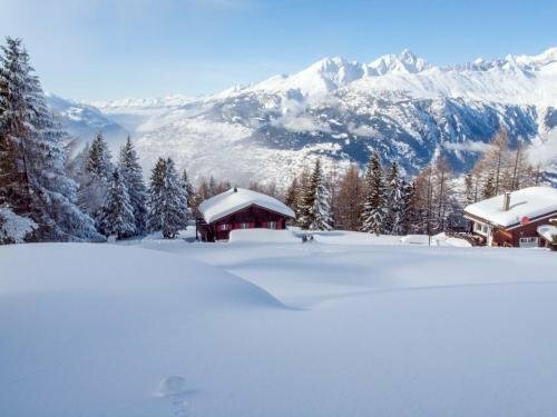 Гостиница Chalet Panorama