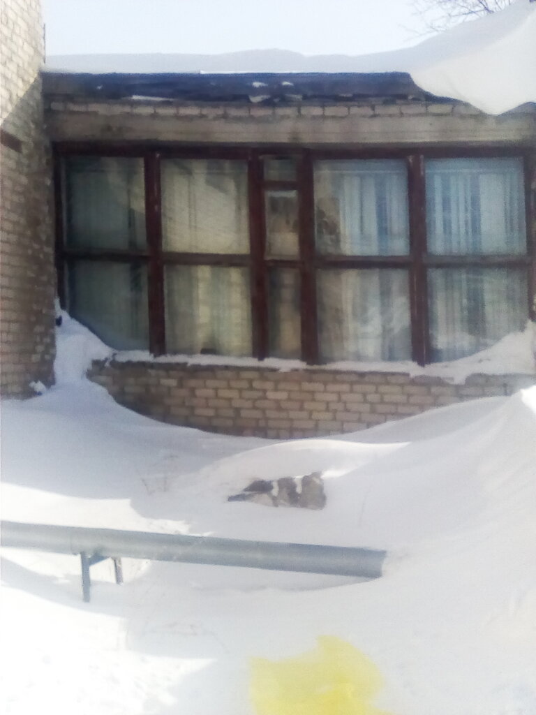 Telecommunication company Rostelecom, Zmeinogorsk, photo