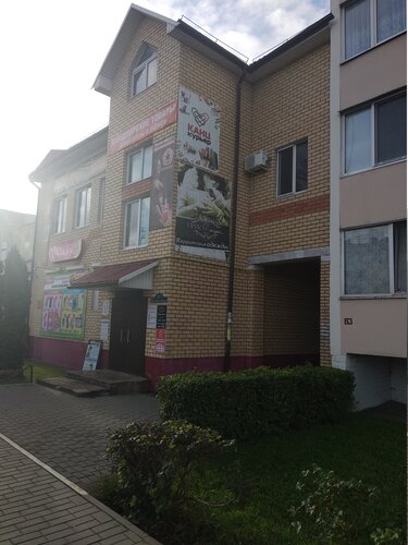 Секс Эмомали Рахмон және Нигина Амонкулова