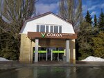 Sokol (Lunnaya ulitsa, 27А/3), swimming pool