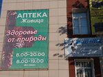Живица (ulitsa Bragina, 15) ، صيدلية